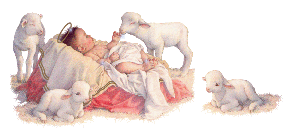 Baby Jesus with lambs - animated